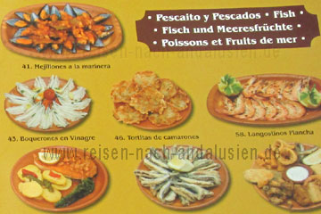 Bilder der Speisen von einer Speisekarte damit man schon vor der Bestellung in dem Restaurant beim Andalusien Urlaub in Spanien besser wählen kann was man gerne essen würde. Die Preise der Speisen nenne ich Ihnen weiter unten auf dieser Seite.
